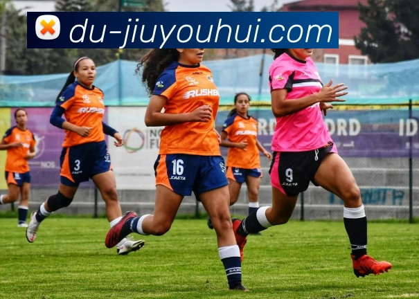 九游会J9官网APP 高清赛事图